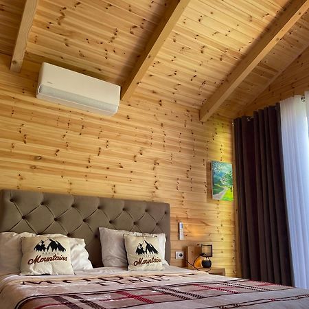 Thethi Mountain Villas エクステリア 写真